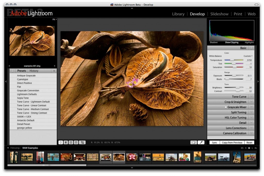 Adobe Photoshop Lightroom CC 6.8 Free Download