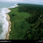 loango-national-park-gabon-africa